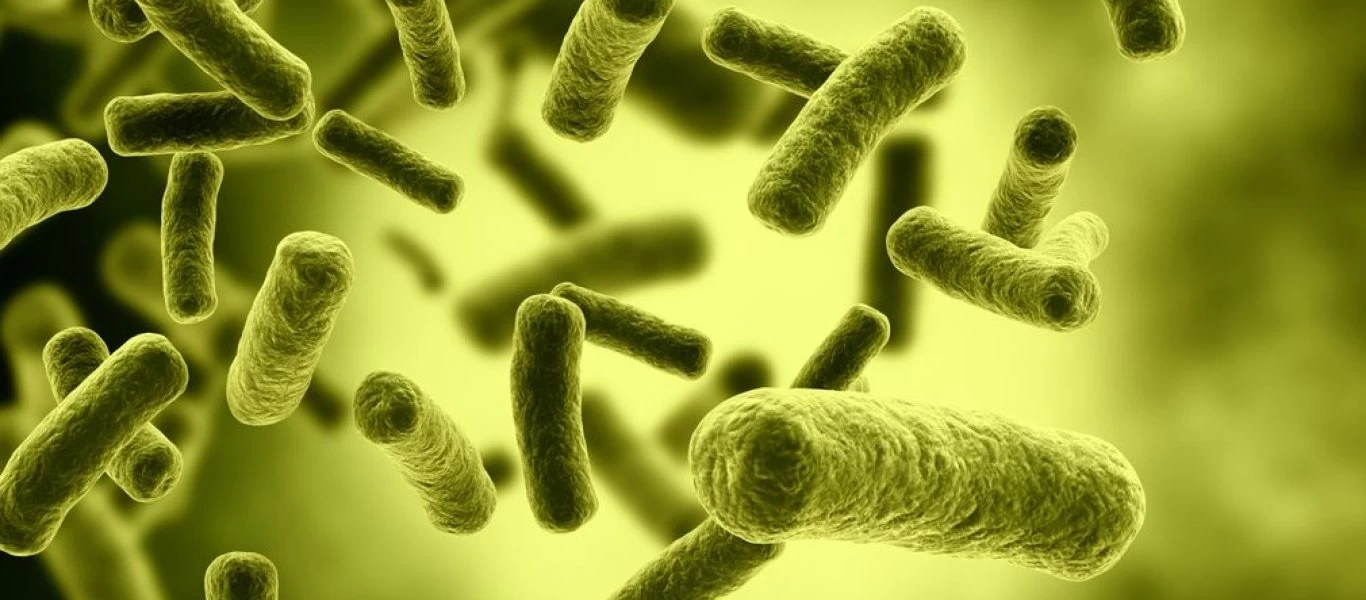 Παρά το καθάρισμα τα μικρόβια παραμένουν στην τουαλέτα - Ποιες οι λύσεις;